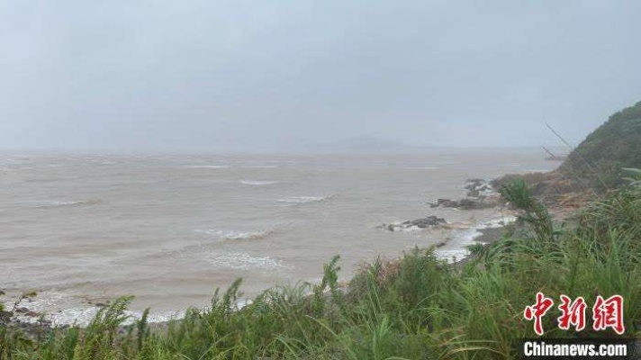 浙江台风网，数字防线守护山海安宁