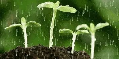 贵阳一周天气预报,春日多变,谨防倒春寒 贵阳一周天气预报,春日多变,谨防倒春寒