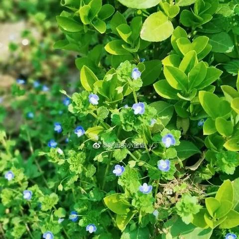 山东今明后三天天气，晴暖为主，局部有雨，出行需留意