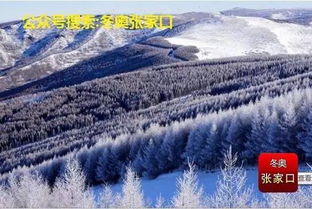 张家口的天气,一场风与雪的四季交响 张家口的天气,一场风与雪的四季交响