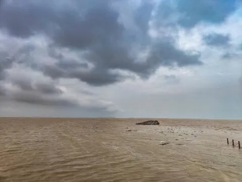 东营天气,黄河入海处的温柔与倔强 东营天气,黄河入海处的温柔与倔强