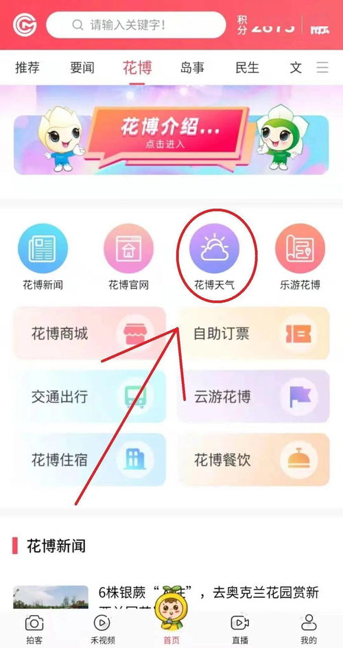 实测对比，2025年实时天气预报最准的App，究竟花落谁家？