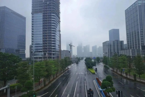 广州今日天气，雨雾交织中的城市脉搏